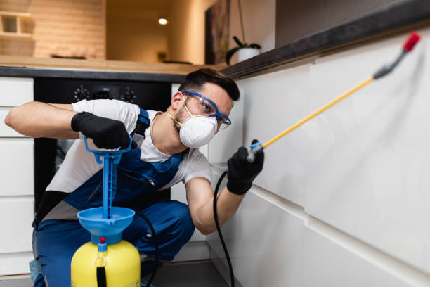 Best Affordable Pest Control Services  in Altavista, VA