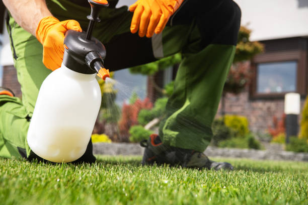 Best Flea Control Services  in Altavista, VA